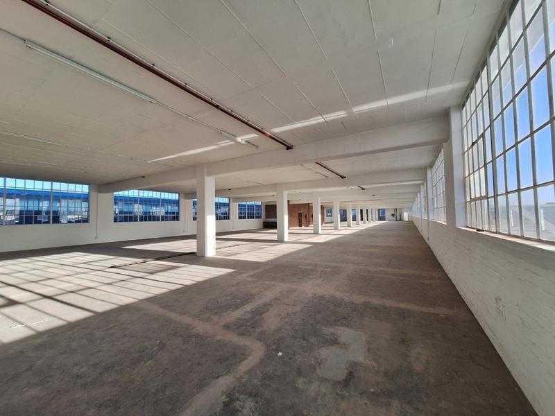 To Let Commercial Property for Rent in Diep River Western Cape